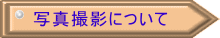 ʐ^Beɂ